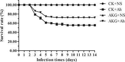 Evaluation of Alpha-Ketoglutarate Supplementation on the Improvement of Intestinal Antioxidant Capacity and Immune Response in Songpu Mirror Carp (Cyprinus carpio) After Infection With Aeromonas hydrophila